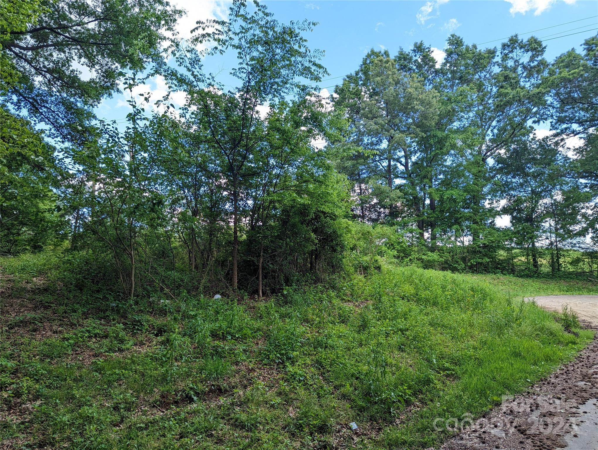 229 Boger Court Southwest Concord, NC 28025 - Photo 3 of 6 a view of outdoor space and yard