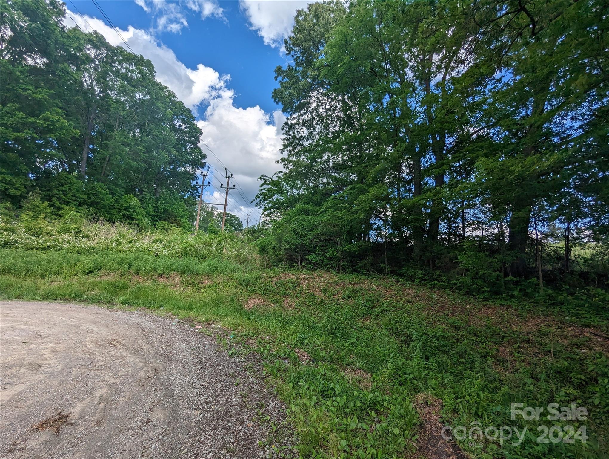 229 Boger Court Southwest Concord, NC 28025 - Photo 5 of 6 a view of a big yard with large trees