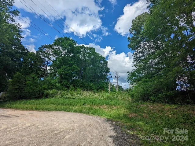 a view of a garden with plants