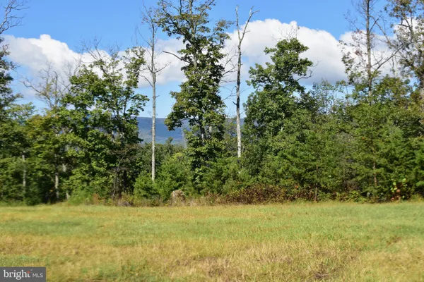 a view of a yard