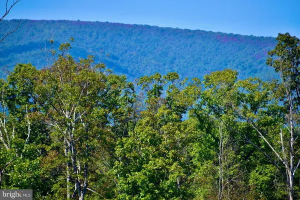 a view of a yard with mountain