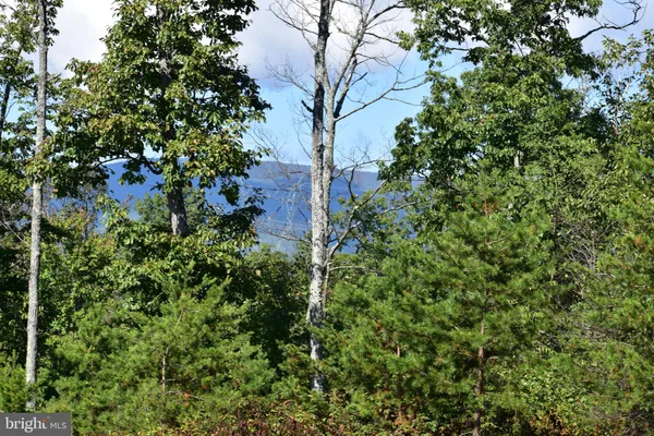 a view of mountain