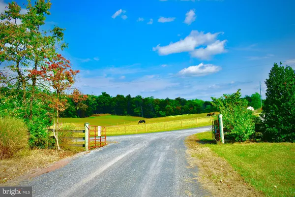 a view of a lush green space with a mountain in the background