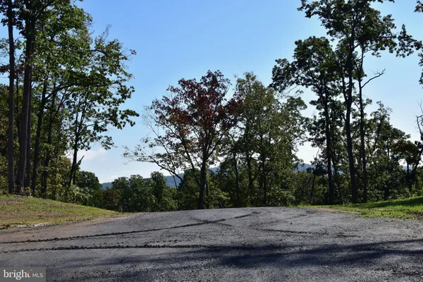 a view of a road with a tree