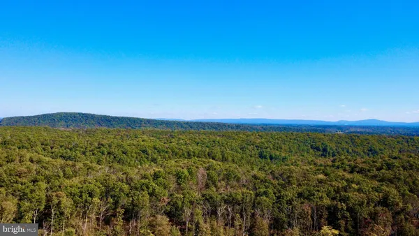 $1,595,000 | 158.5-acres Lot 3 158.5-acres Road, Winchester, VA 22602