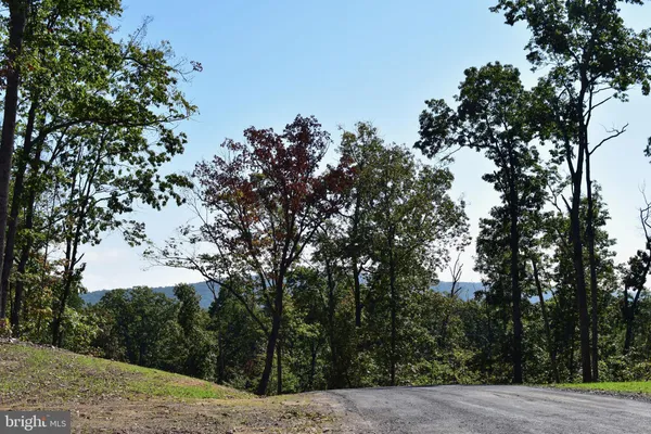 a view of a forest with trees in front of it
