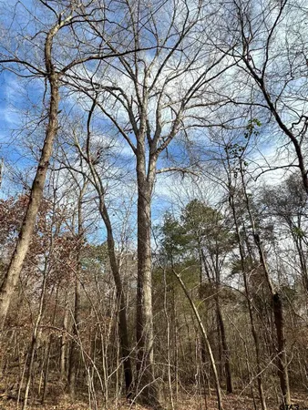 $140,700 | 2439 Alto Tx 75925, Alto, TX 75925