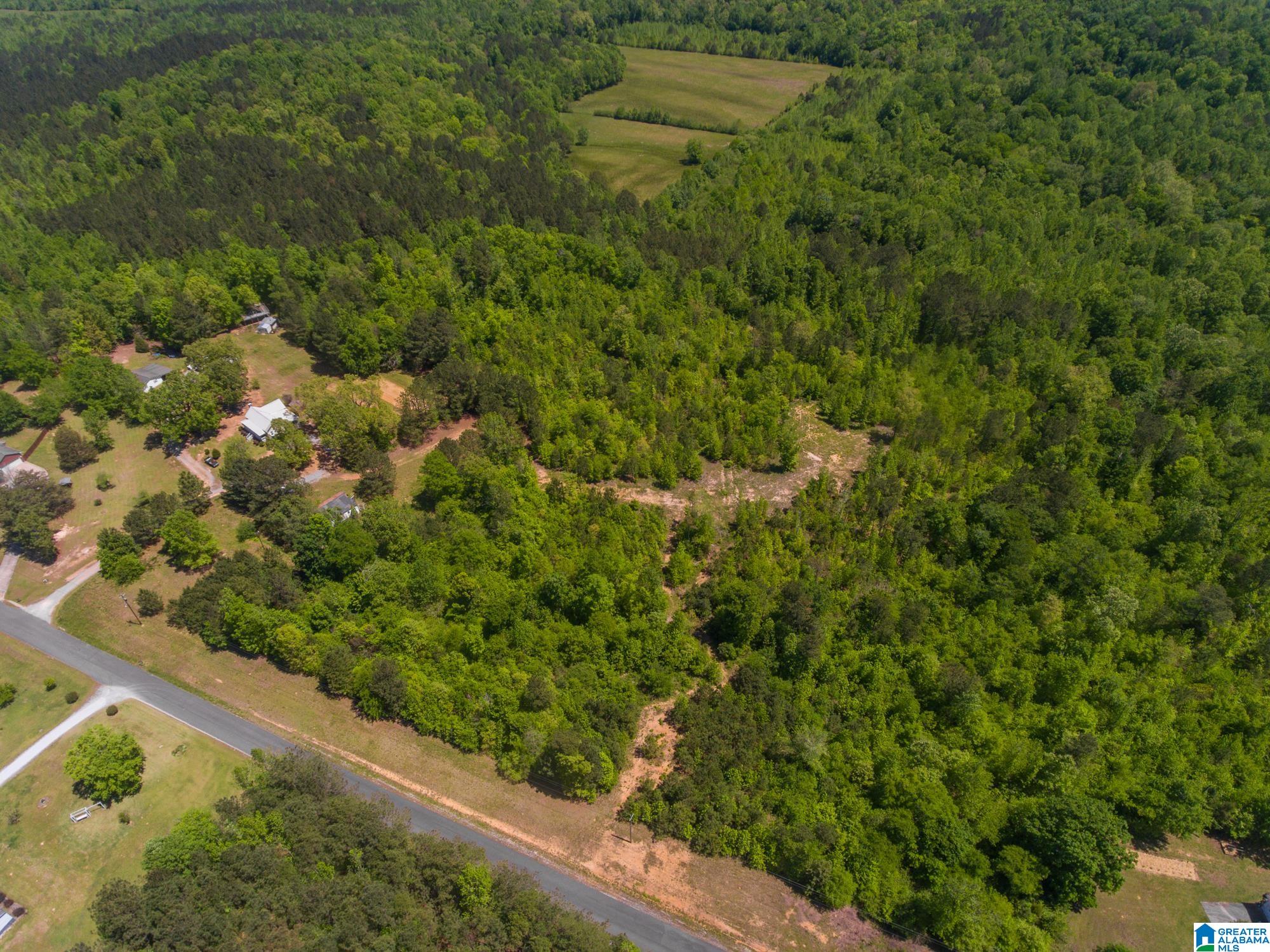 1326 Pine Ridge Road Wellington, AL 36279 - Photo 8 of 15
