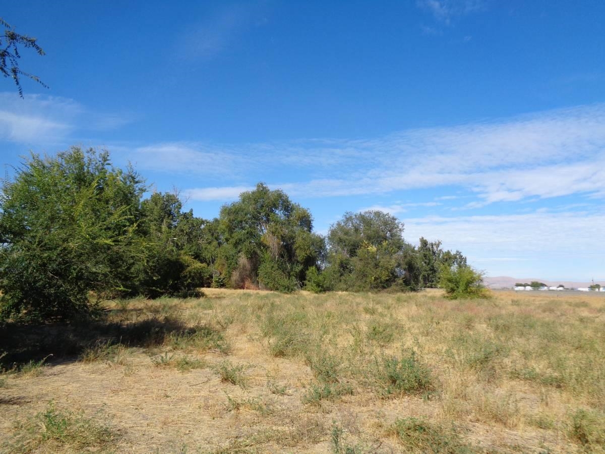 Nna Fort Road, Unit FORT RD/LATERAL B RD WAPATO Wapato, WA 98951 - Photo 6 of 19