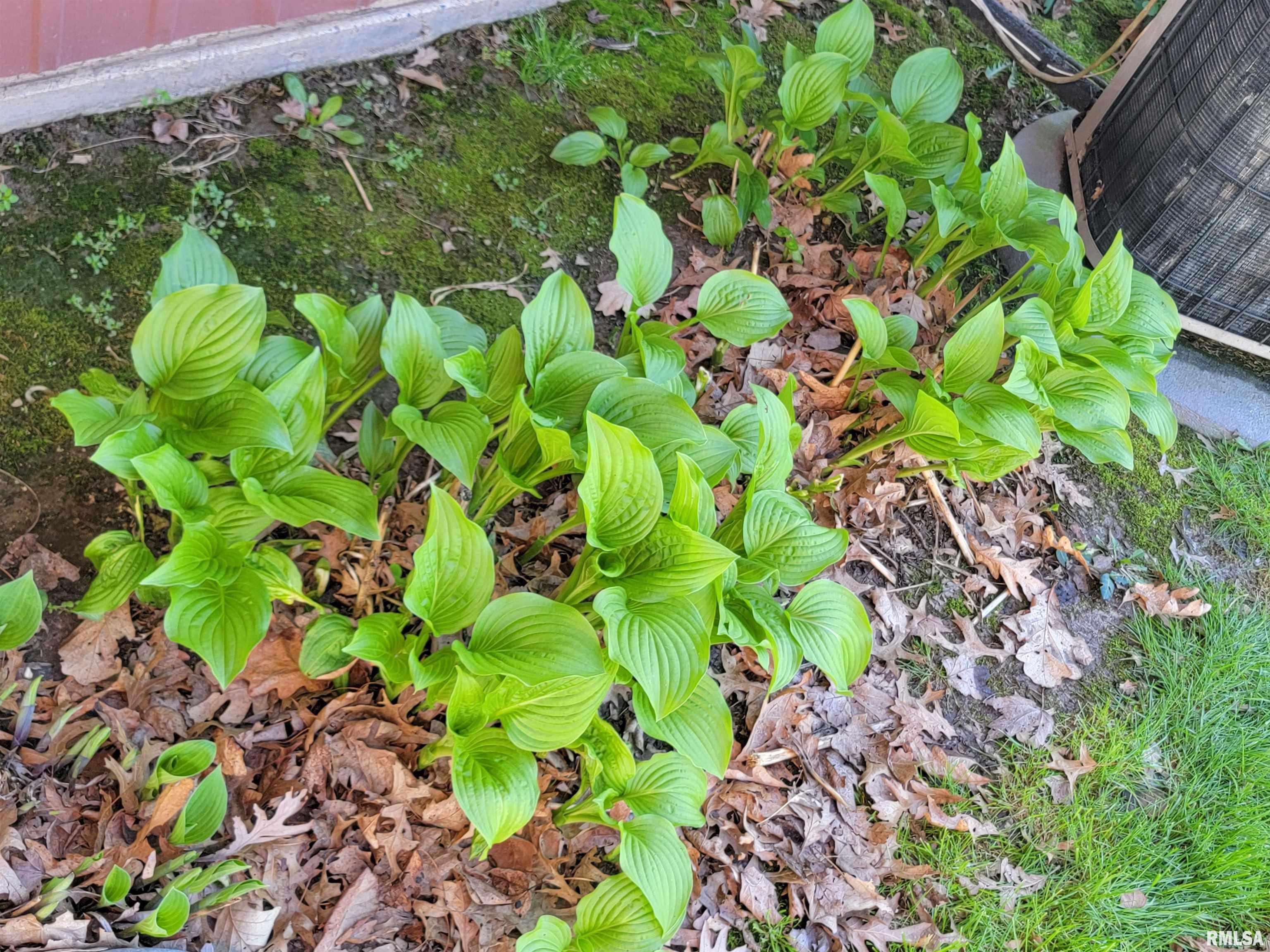 918 West 5th Street Flora, IL 62839 - Photo 57 of 74