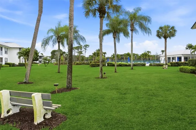a view of a park with palm trees