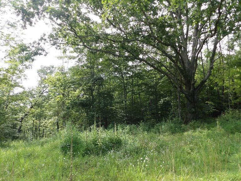 82 Ben Baker Road Somerset, KY 42501 - Photo 12 of 44 KODAK Digital Still Camera