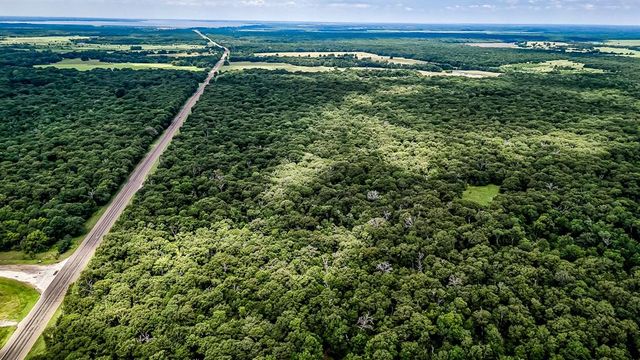 a view of a lush green forest