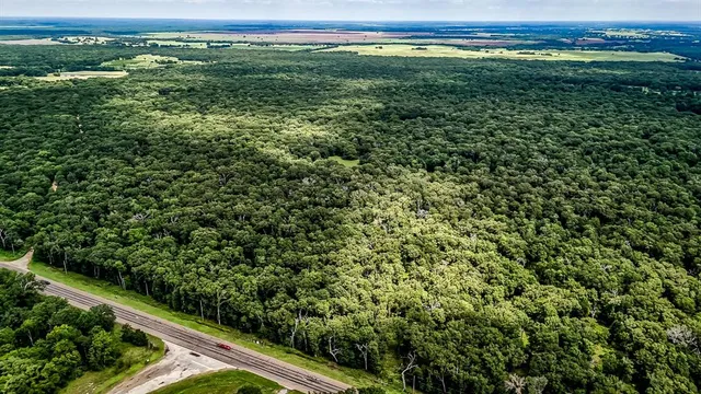 a view of a yard with an outdoor space