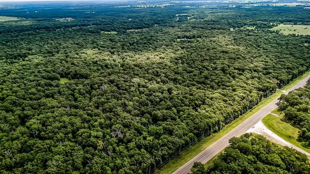 a view of a green field with lots of bushes