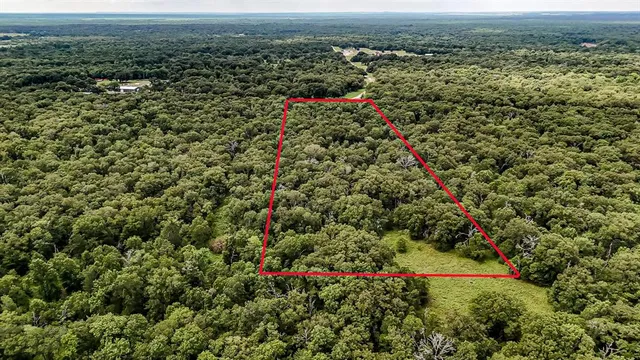 an aerial view of residential houses with outdoor space and trees