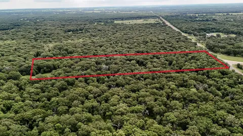 a view of a large flowers and covered with swimming pool