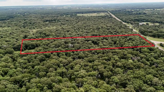 a view of a large flowers and covered with swimming pool