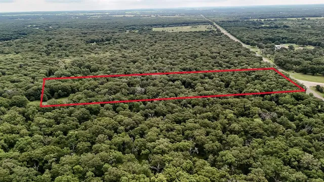 a view of a large flowers and covered with swimming pool