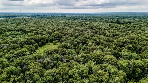 an aerial view of forest