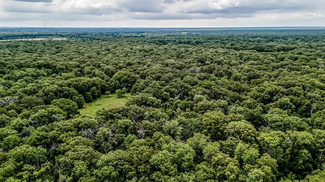 an aerial view of forest