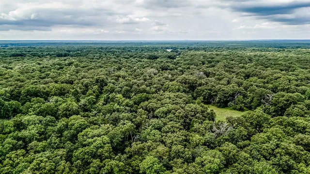 a view of a large yard with lots of green space