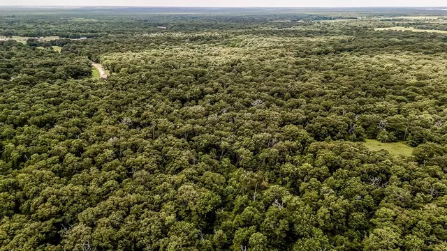 an aerial view of residential houses with outdoor space and trees