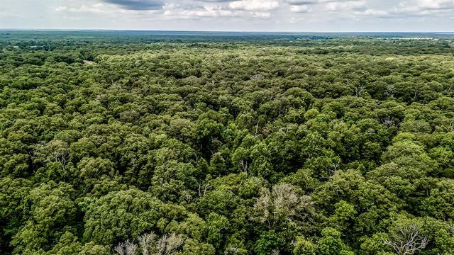 a view of a big yard with lots of green space
