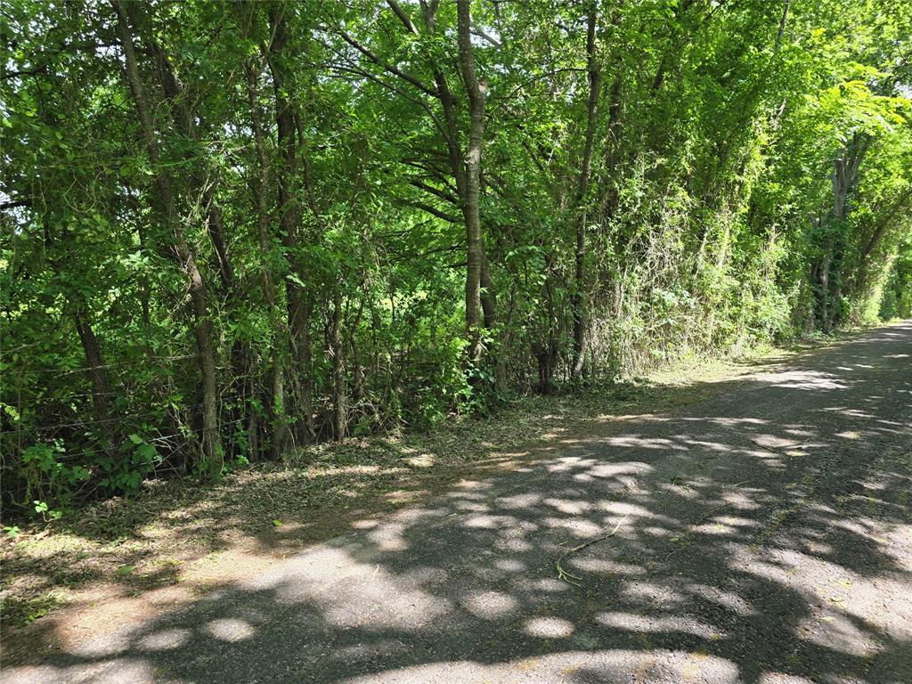 1039 County Road 1039 Blue Ridge, TX 75424 - Photo 3 of 8