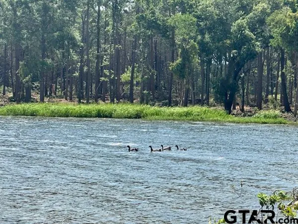 $119,900 | Lot 72 Oak River, Frankston, TX 75763