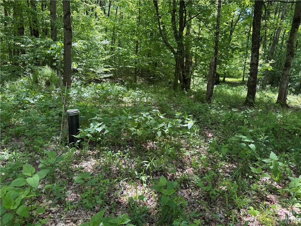 98 Wooliver Road Orwell, NY 13144 - Photo 4 of 11