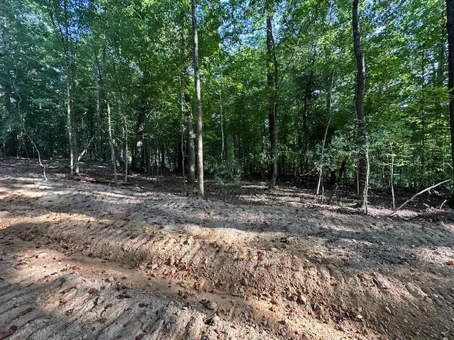 a view of outdoor space with trees
