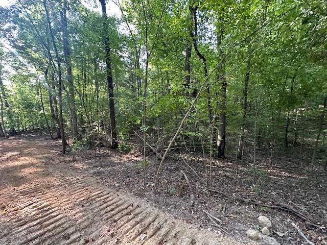 6 Sales Landing Road Camden, TN 38320 - Photo 14 of 39 a view of a forest filled with trees