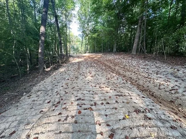 a view of a backyard with trees