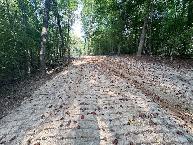 6 Sales Landing Road Camden, TN 38320 - Photo 15 of 39 a view of a backyard with trees