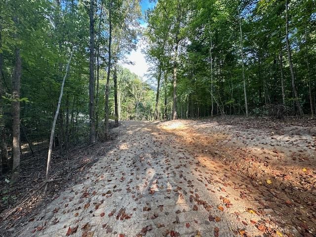 6 Sales Landing Road Camden, TN 38320 - Photo 16 of 39 a view of outdoor space with trees