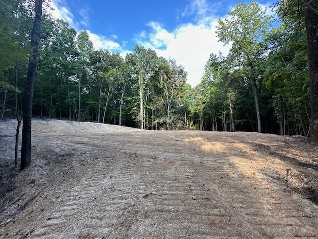 6 Sales Landing Road Camden, TN 38320 - Photo 17 of 39 a view of backyard with green space