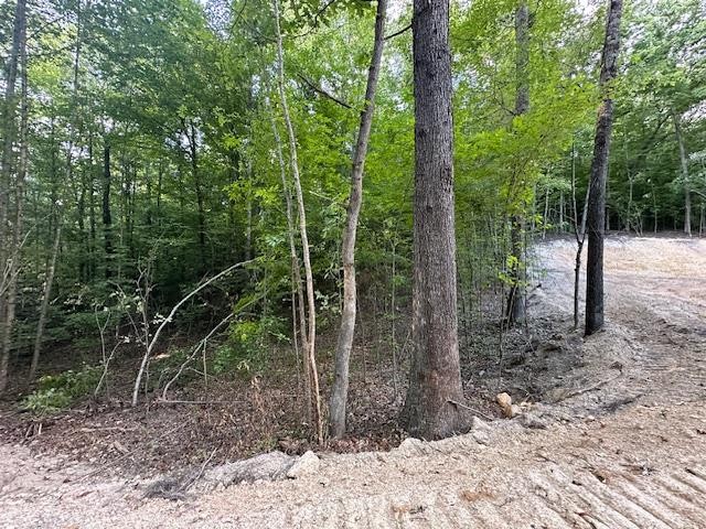6 Sales Landing Road Camden, TN 38320 - Photo 18 of 39 a view of a forest