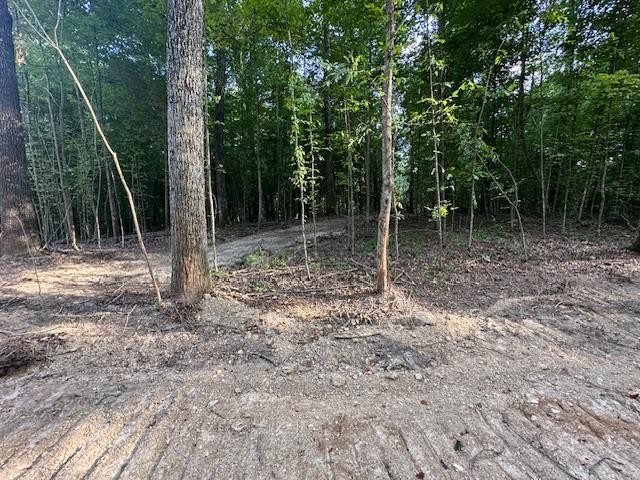 6 Sales Landing Road Camden, TN 38320 - Photo 19 of 39 a backyard of a house