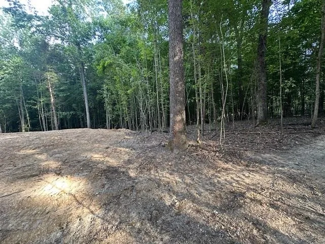 a view of backyard with green space