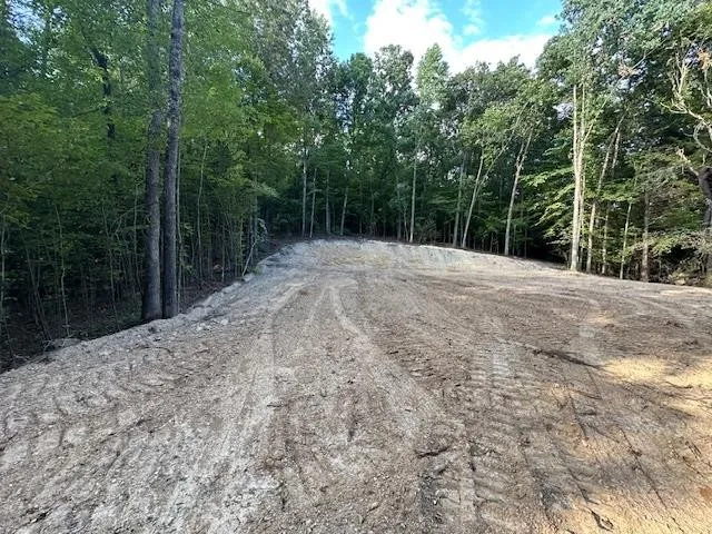 a wooden bench with trees in the background