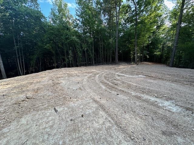 6 Sales Landing Road Camden, TN 38320 - Photo 23 of 39 a view of backyard with green space