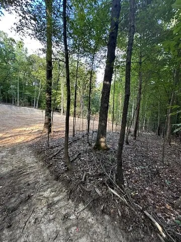 a view of outdoor space with lots of trees