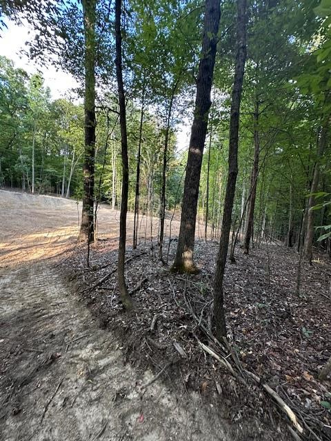 6 Sales Landing Road Camden, TN 38320 - Photo 24 of 39 a view of outdoor space with lots of trees