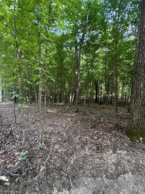6 Sales Landing Road Camden, TN 38320 - Photo 25 of 39 a view of outdoor space with trees