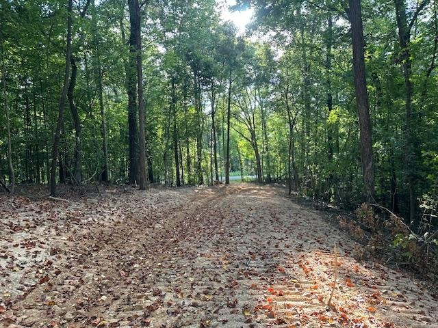 6 Sales Landing Road Camden, TN 38320 - Photo 28 of 39 a view of outdoor space and green space