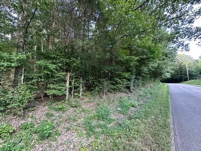 a view of outdoor space and green space