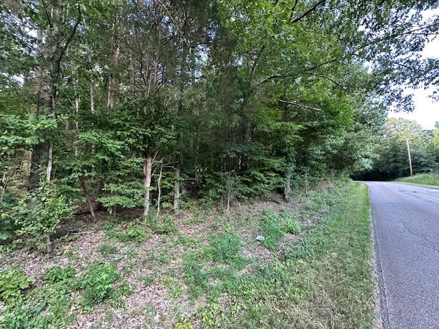 6 Sales Landing Road Camden, TN 38320 - Photo 29 of 39 a view of outdoor space and green space