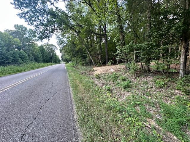 6 Sales Landing Road Camden, TN 38320 - Photo 30 of 39 a view of a yard with plants and trees
