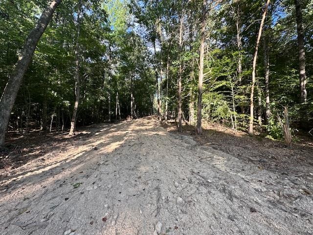 6 Sales Landing Road Camden, TN 38320 - Photo 3 of 39 a view of outdoor space with trees